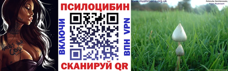 даркнет сайт  Буинск  Псилоцибиновые грибы ЛСД 